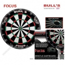 Dartboard Bristle Focus