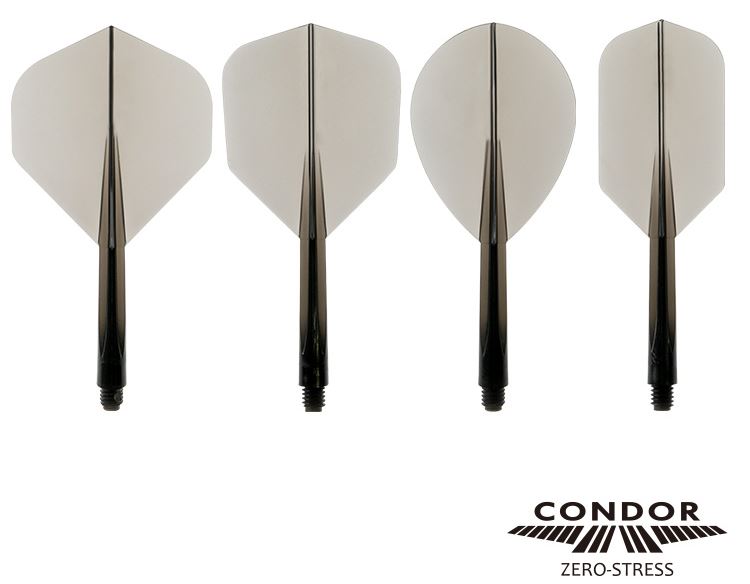 Condor Flight