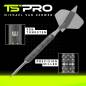 Preview: Steel Darts (3 pcs) MvG Ambition