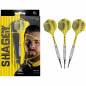 Preview: Soft Dartset (3 Stk) Scott Williams 90% 18g