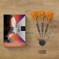 Preview: Target Raymond van Barneveld RVB 95K Swiss Point Steeldarts 2026 – 21g / 23g / 25g