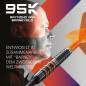 Preview: Target Raymond van Barneveld RVB 95K 20g Soft Tip Darts 2026
