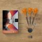Preview: Target Raymond van Barneveld RVB 95K 20g Soft Tip Darts 2026