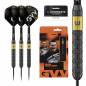 Preview: 21G Steel Dartset Gian van Veen Brass Darts CORE