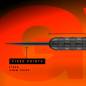 Preview: 21G Steel Dartset Gian van Veen Brass Darts CORE