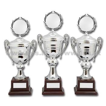 Pokal 3-er Serie Silver Star