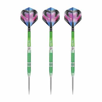 Steel Dartset (3 Stk) Peter Wright Mamba 2