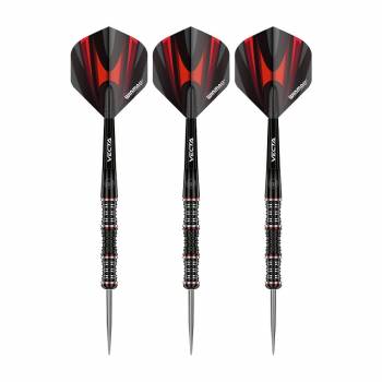 Steel Darts (3 pcs) Mervyn King