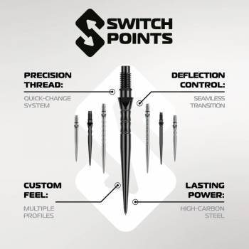 Winmau Switch Point Wave T3