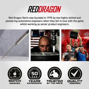 Steel Dartset Gian van Veen Tour Edition 22g