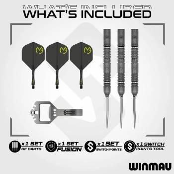 Michael van Gerwen SE 90 % Switch Point Steeldarts