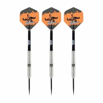 Steel Dartset (3 Stk)  Dirk van Duijvenbode 90%