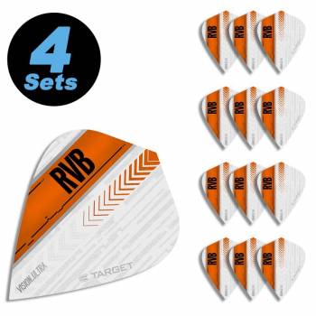 4 Flight Sets (12 Stk) Kite White Vision Raymond van Barneveld RVB