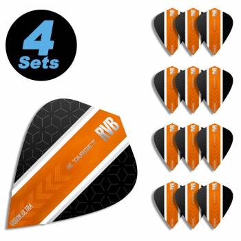 4 Flight Sets (12 Stk) Kite 80% Vision ultra Raymond van Barneveld RVB