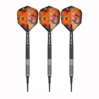 Soft Dartset (3 Stk) Raymond van Barneveld RVB G3 95%