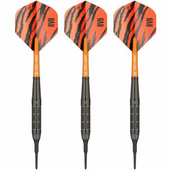 Soft Dartset (3 Stk) Raymond van Barneveld Brass 18g 2023