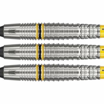Soft Dartset (3 Stk) Scott Williams 90% 18g