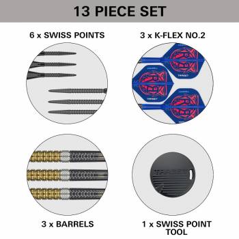 Steel Darts Raymond van Barneveld RVB GEN6 95% SP