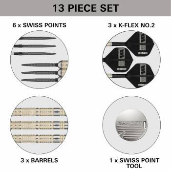 Steel Dartset Dimitri van den Bergh 95K SP 2025