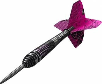 Steel Dartset Lorraine Winstanley G2 24g 2025