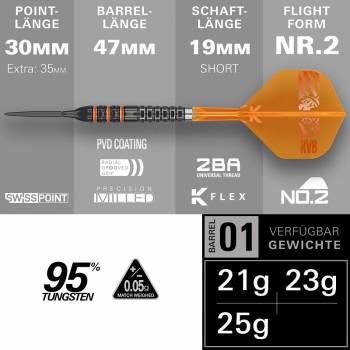Preview: Target Raymond van Barneveld RVB 95K Swiss Point Steeldarts 2026 – 21g / 23g / 25g