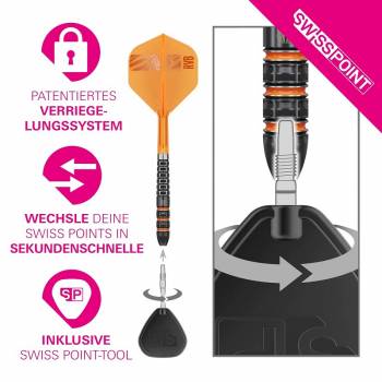 Preview: Target Raymond van Barneveld RVB 95K Swiss Point Steeldarts 2026 – 21g / 23g / 25g