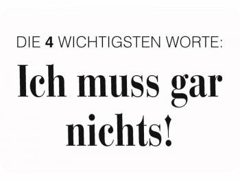Hänge Blechschild Ich muss gar nichts