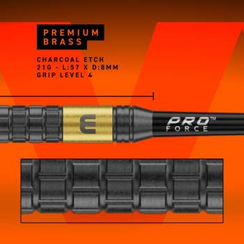 Preview: 21G Steel Dartset Gian van Veen Brass Darts CORE