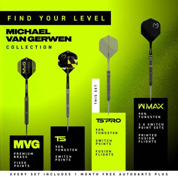 Steel Darts (3 pcs) MvG Ambition