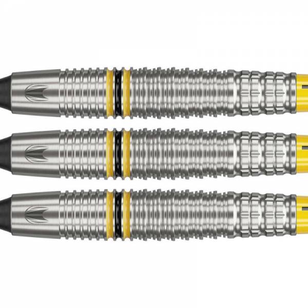Soft Dartset (3 Stk) Scott Williams 90% 18g