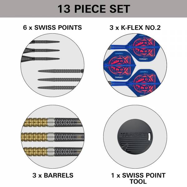 Steel Darts Raymond van Barneveld RVB GEN6 95% SP