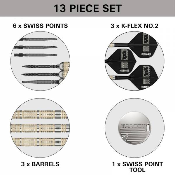 Steel Dartset Dimitri van den Bergh 95K SP 2025
