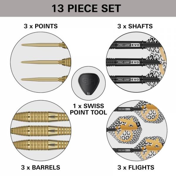Steel Dartset (3 Stk) Bolide Envy 05 90% / Swiss Point