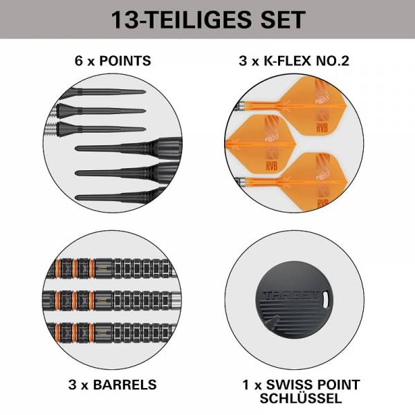 Target Raymond van Barneveld RVB 95K 20g Soft Tip Darts 2026