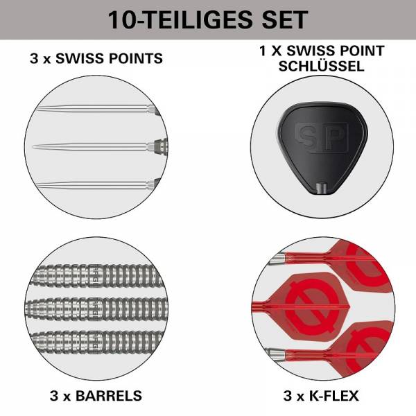 Target GROUP Ø 02 50% Swiss Point Steel Tip Darts