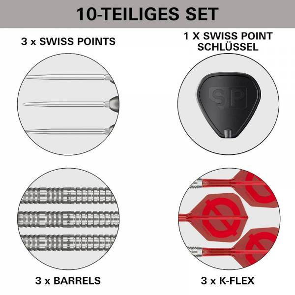 Target GROUP Ø 50% 03 SP Steeldarts 2026
