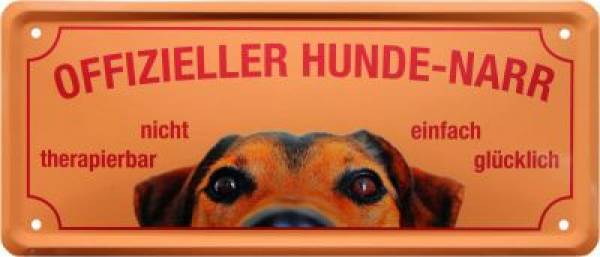 Metallschild  28x12 cm Offizieller Katzen-Narr