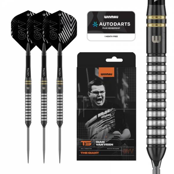 Steel Darts Gian van Veen TS 90% Switch Point