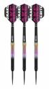 Steel Dartset (3 Stk) World Champion 2020 Peter Wright Snakebite
