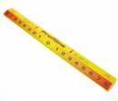 Startlinie Profiline Dart