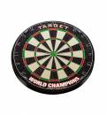 Dartboard World Champion