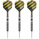 Steel Tip Darts (3 pcs.) Dimitri van den Bergh 80%